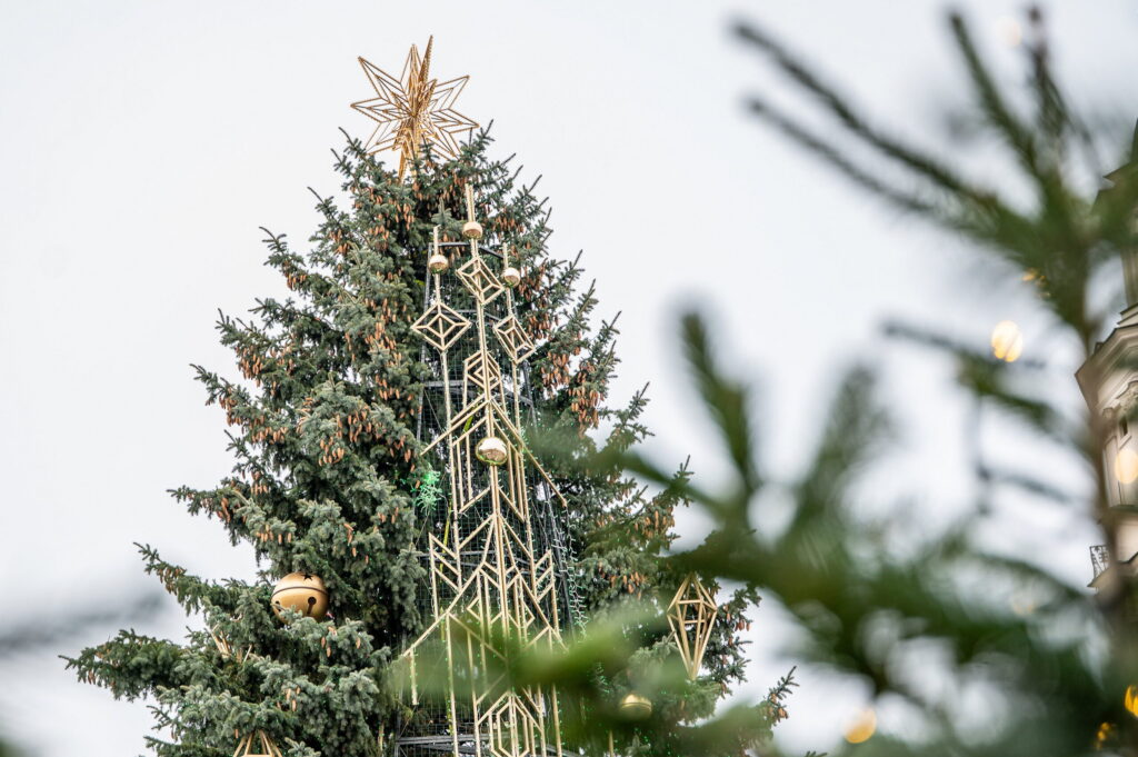 Kauno miesto savivaldybė Liko vos kelios dienos iki Kauno eglės